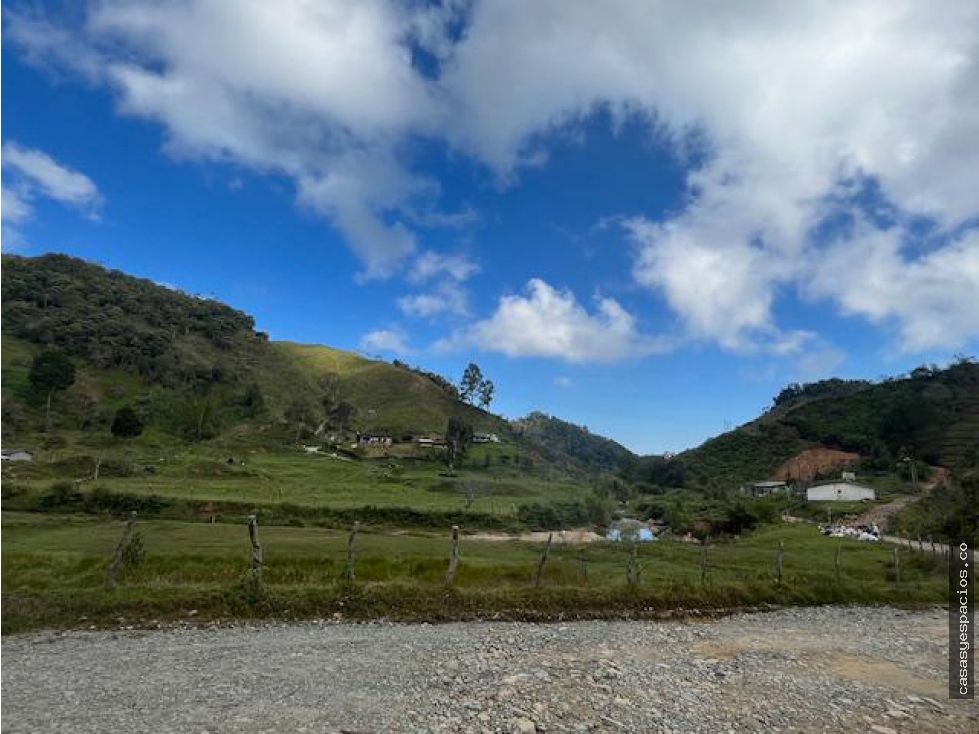 Finca agropecuaria de 49 hectáreas en Santo Domingo — foto 2