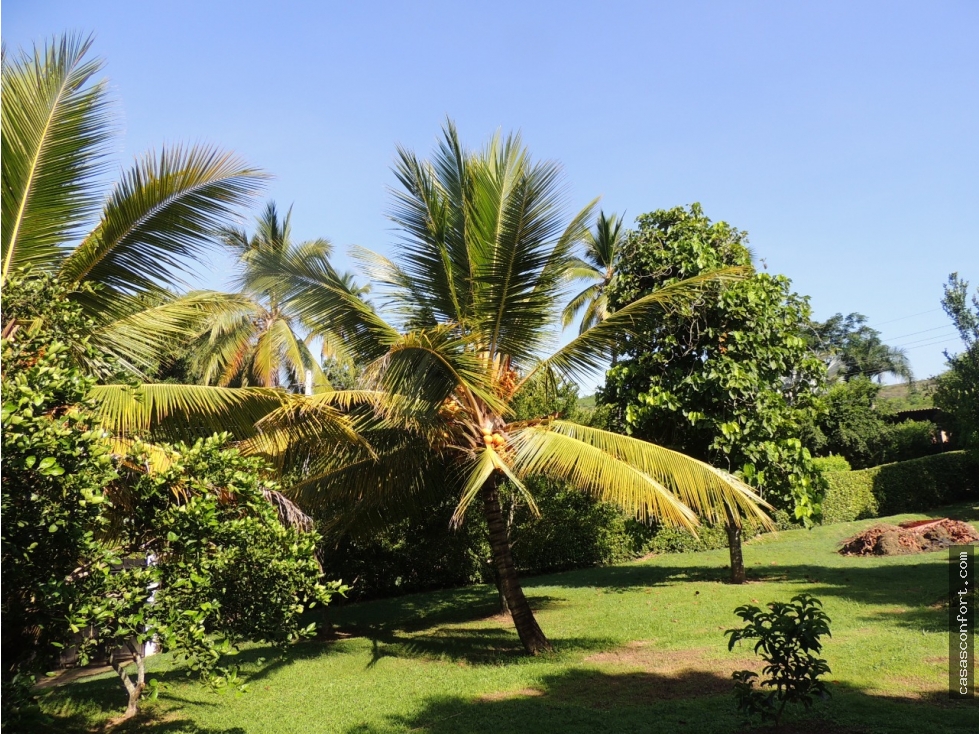 Finca con árboles frutales en el sector Córdoba, Sopetrán — foto 3