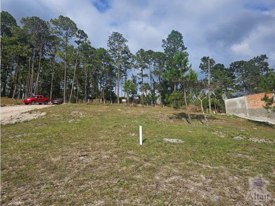 Se venden terrenos en valle de Ángeles