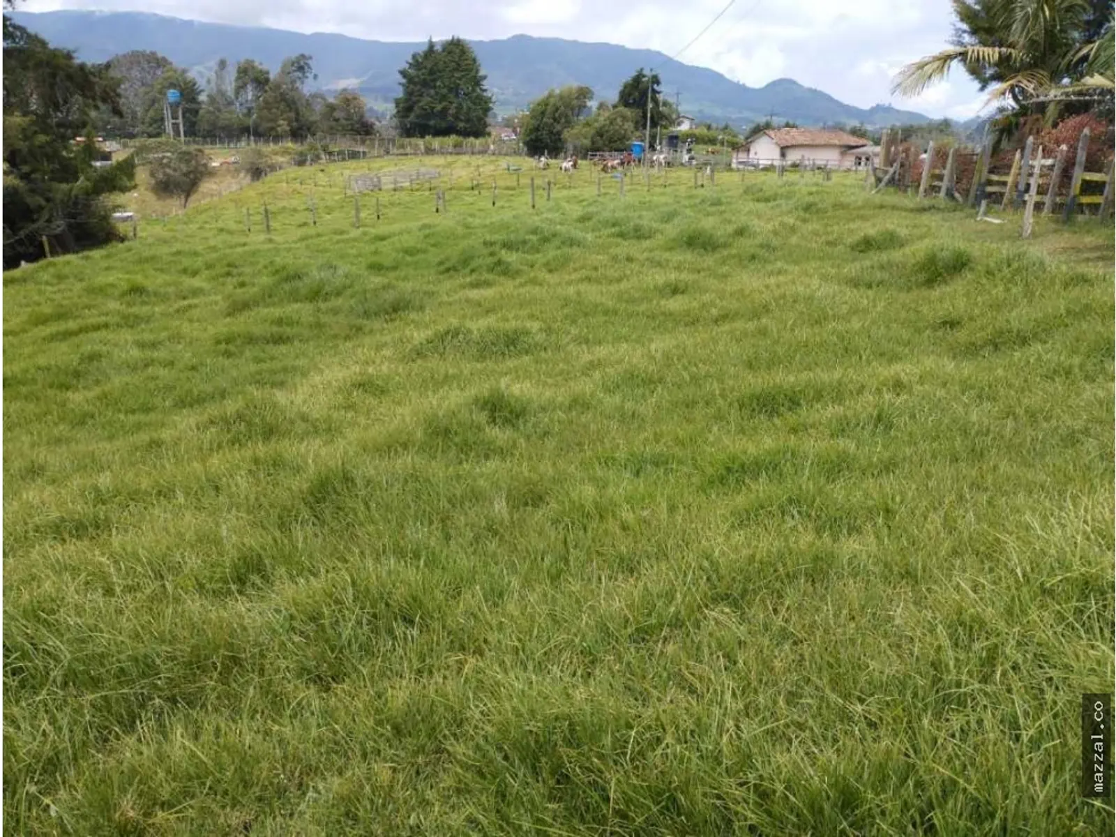 Lote en venta San Pedro De Los Milagros Bello – foto 3