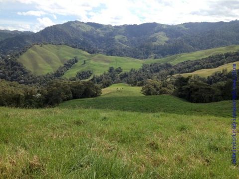 lote cerro de oro manizales