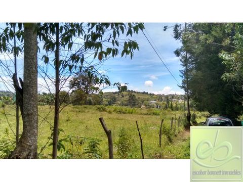 lote uso industrial rionegro autopista