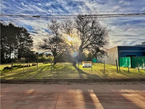 venta lote sobre avda juan d peron entre gallareta y tordo de toay