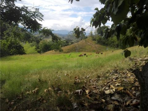 se vende finca lisboa manizales