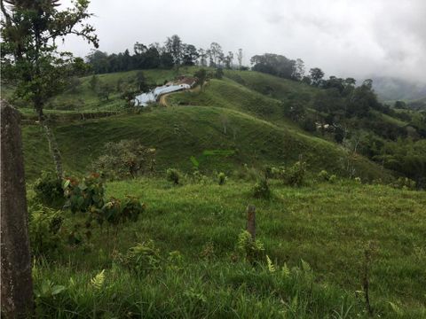 en venta finca ganadera calima el darien valle