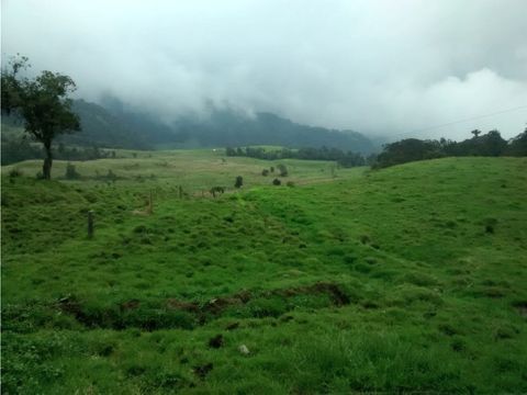 se vende finca en villamaria parque los nevados