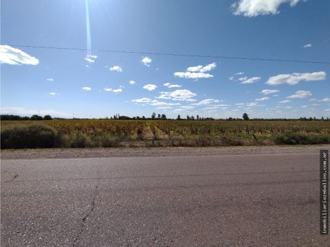 zeballos vende finca en produccion en lavalle