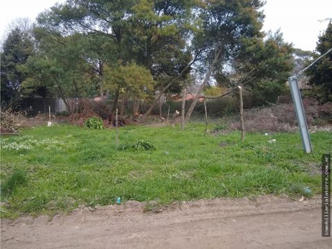 latorre prop vende 2 lotes juntos total 766 m2