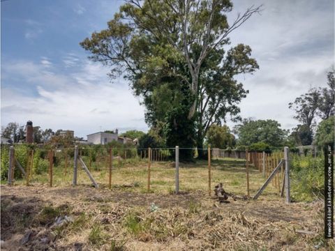 latorre prop vende lote baldio de 445 m2 en parque pena