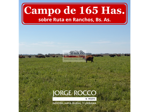 campo de 165 has en ranchos