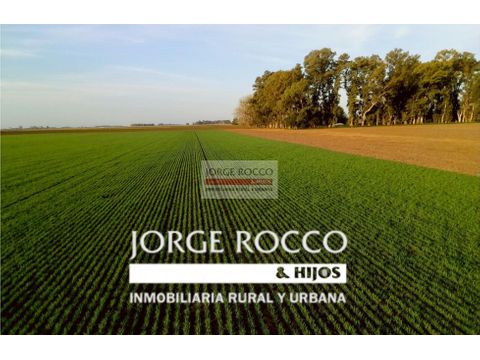 campo en venta en ranchos 140 has agricolas