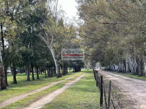 campo en venta en brandsen 5 has sobre ruta en brandsen