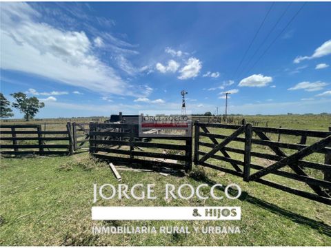 campo en venta en chascomus 40 has mixto