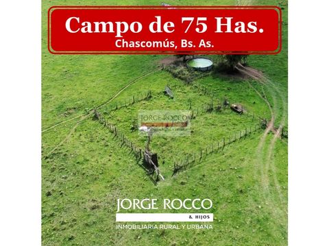 campo de 75 has en venta en chascomus