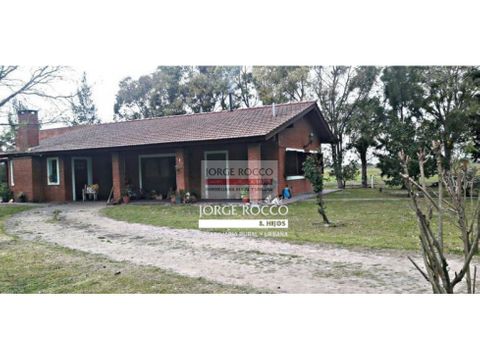 campo en venta en ranchos 84 has tambo funcionando