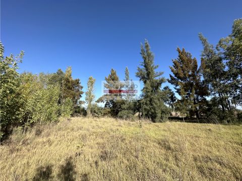 lote con arboles de 1735 m2 en barrio la dolly