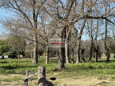 lotes de terreno en jeppener brandsen 3 lotes de 4000 m2 cada uno