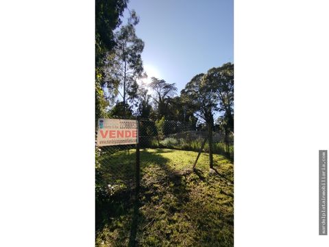 lote 15 x 30 m bosque peralta ramos terreno alambrado