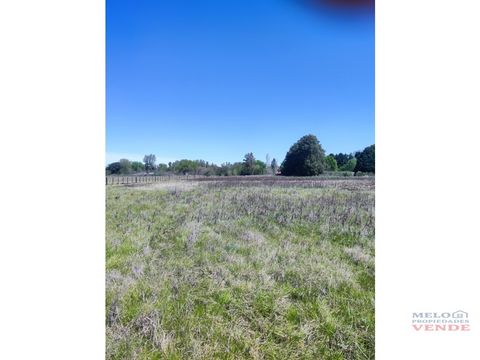 lote unico de 1 ha en carlos keen lujan