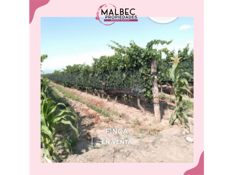 malbec propiedades vende