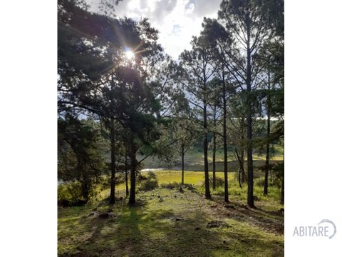 vendo hermoso lote con casa costa al lago potrero de garay