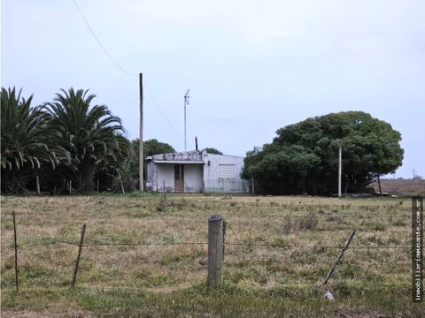 5 hectareas en general lavalle