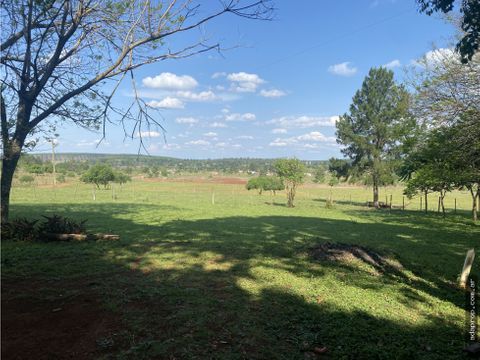 vendo 10 hectareas en posadas misiones