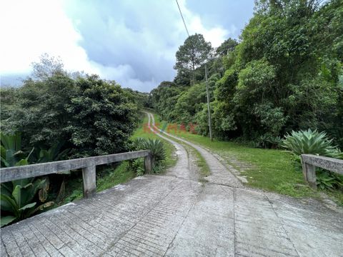 hermoso terreno divido en 2 lotes en km185 carretera al salvador