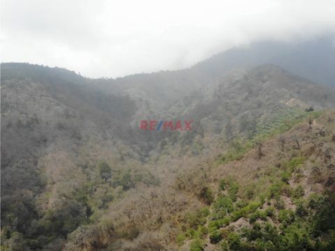 venta de fincas de madera en acatenango chimaltenango