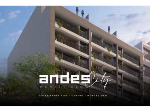 andes city apartamento de un dormitorio y medio con terraza centro