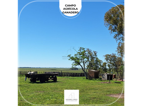 paysandu campo agricola ganadero 800 has