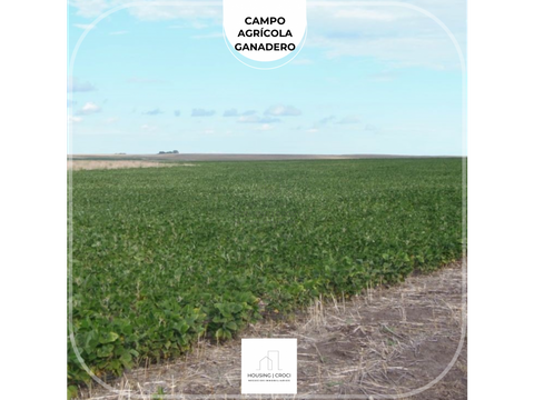 durazno campo agricola ganado 2767 has