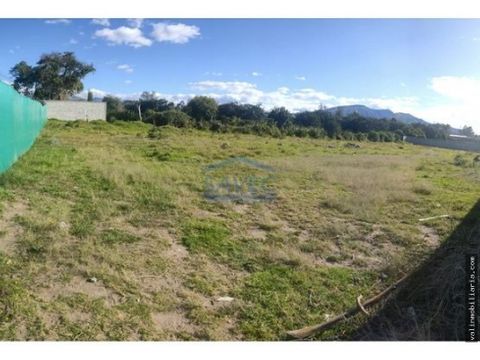 vendo hermoso terreno plano en tanta 1177 m2