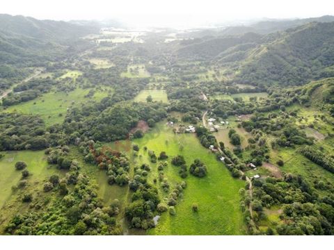 land for sale in los ranchos with all utilities