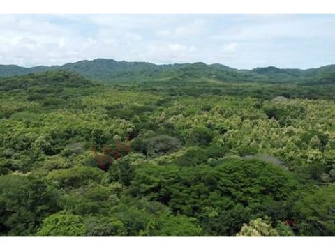 lot for sale in matapalo