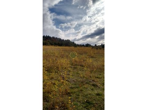 en venta chacra de 21 ha con casa en el bolson ch 110