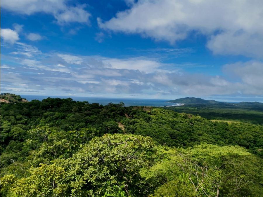 Venta de Terreno en Tamarindo - SM COD1301 — photo 11 of 15
