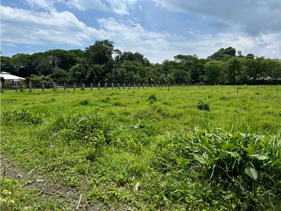 Venta de Terreno en Playa Agujas - COD SMPP1400 — photo 11 of 15
