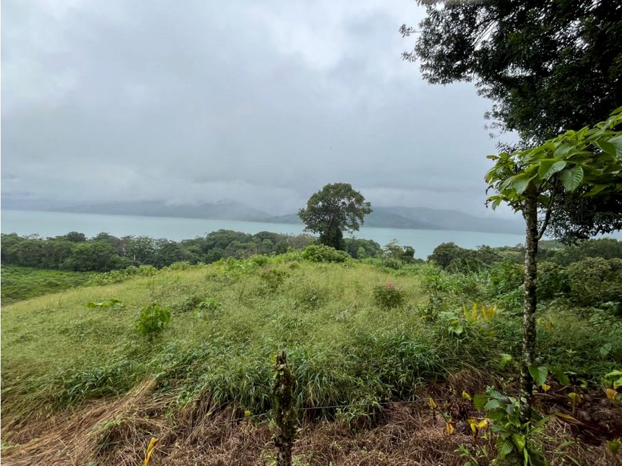 Se vende (Venta) terreno Lago Arenal, Tilarán COD FU 1419 — photo 11 of 21