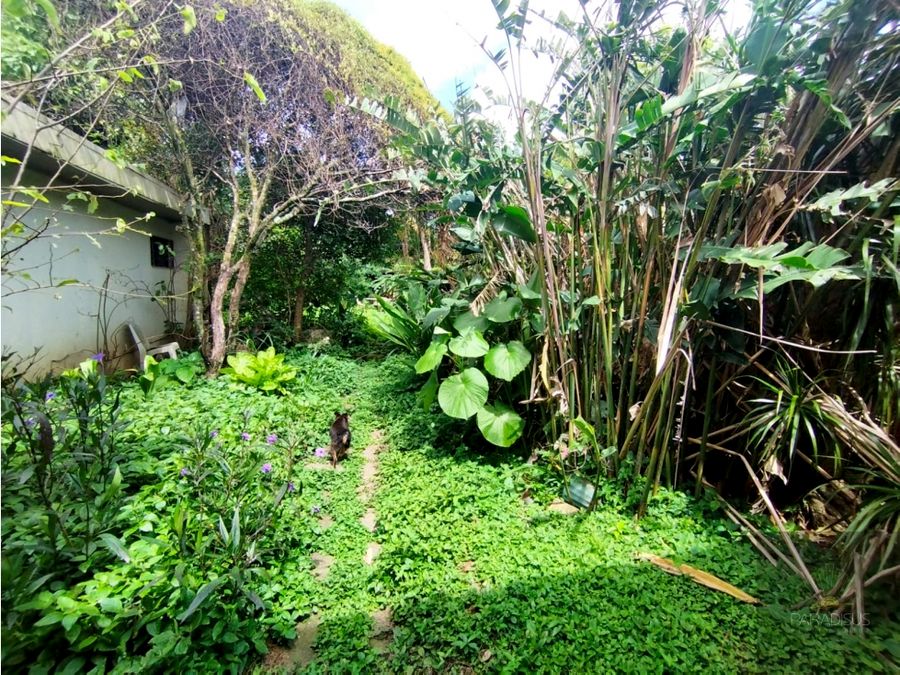 Se Vende (Venta) Casa Para Remodelación en Sabana Sur COD SU1429 — photo 12 of 21