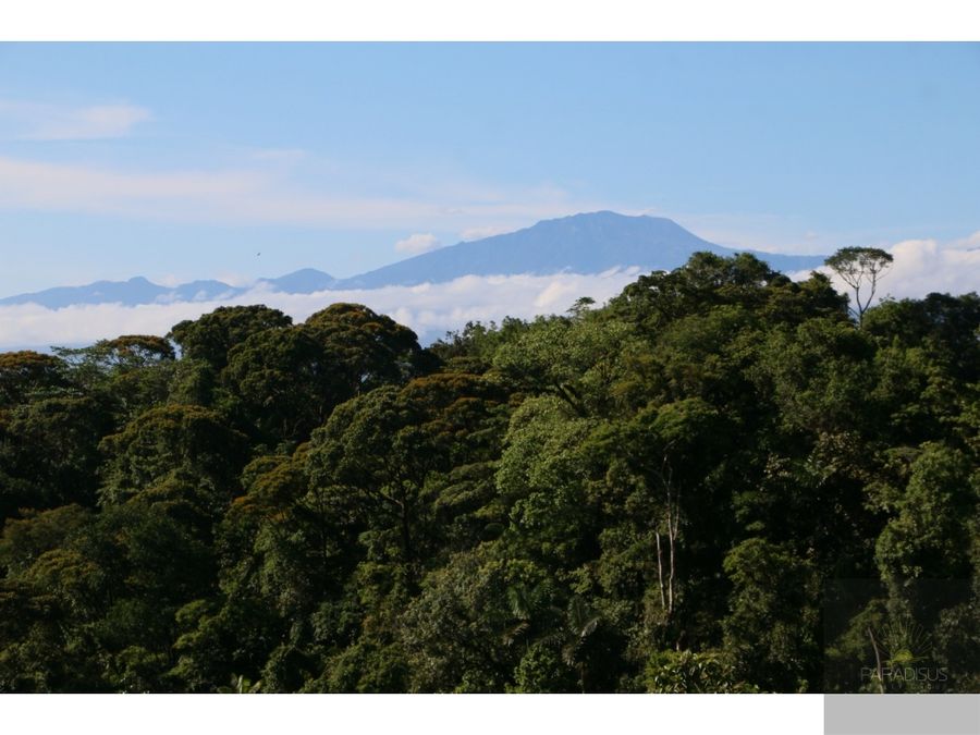 Venta de Finca en Sarapiqui - SM1261 — photo 14 of 21