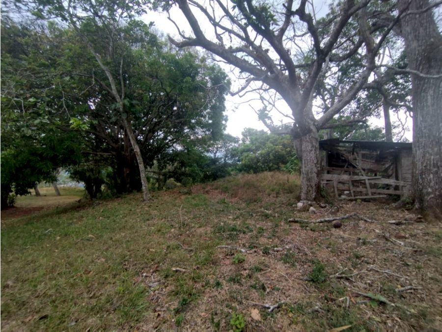Se Vende (Venta) Finca en Balsa de Atenas, Costa Rica Cod FU 1374 — photo 15 of 21