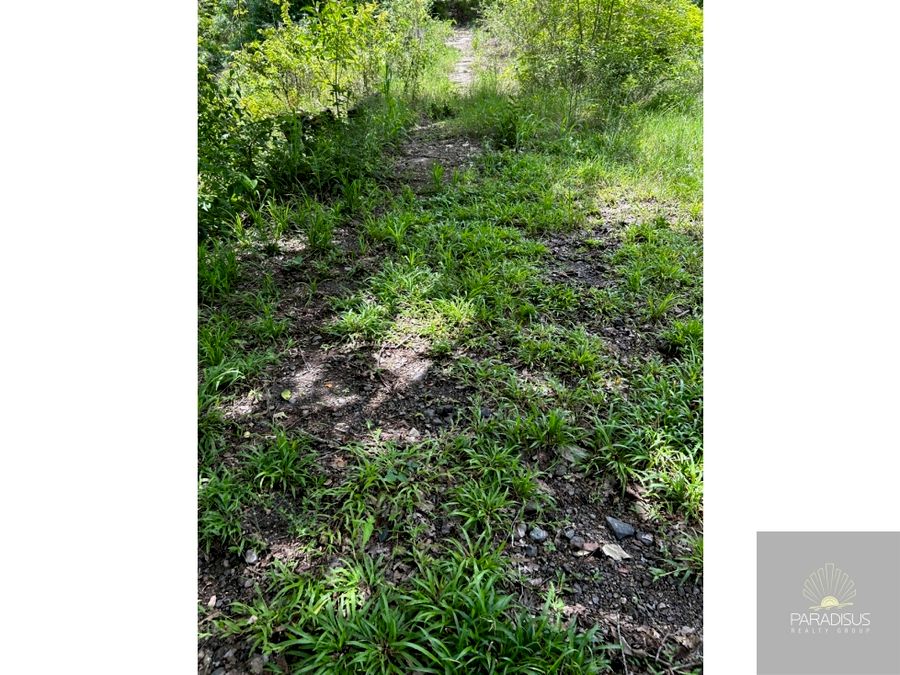 Venta de Terreno en Playa Agujas - COD SMPP1400 — photo 12 of 15