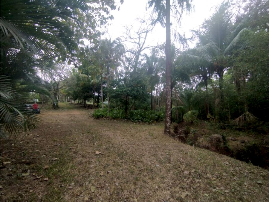 Se Vende (Venta) Finca en Balsa de Atenas, Costa Rica Cod FU 1374 — photo 16 of 21