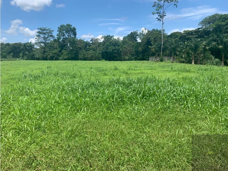 Venta de Terreno en El Bosque, La Fortuna, San Carlos COD RG 1233 — foto 13 de 17