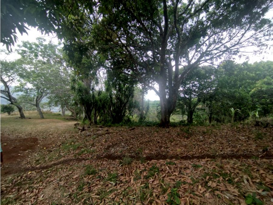 Se Vende (Venta) Finca en Balsa de Atenas, Costa Rica Cod FU 1374 — photo 17 of 21