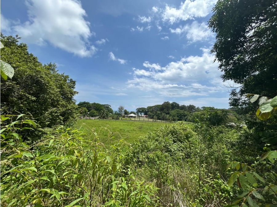 Venta de Terreno en Playa Agujas - COD SMPP1400, Agujas, Puntarenas — foto 2 de 5