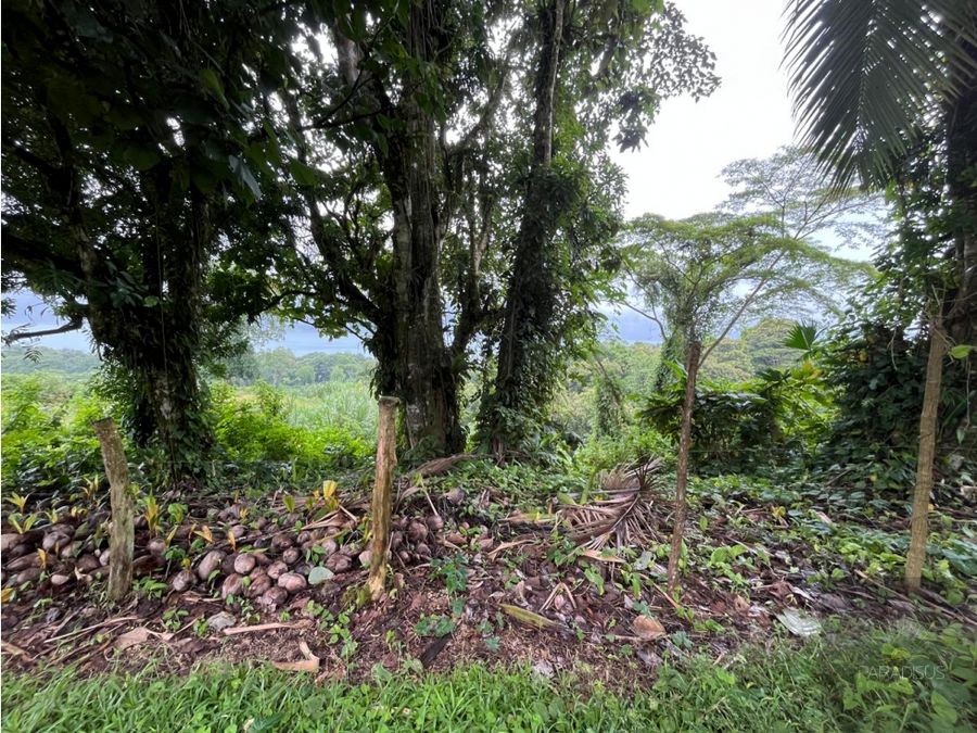 Se vende (Venta) terreno Lago Arenal, Tilarán COD FU 1419 — photo 15 of 21