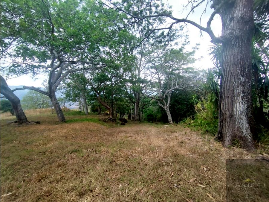 Se Vende (Venta) Finca en Balsa de Atenas, Costa Rica Cod FU 1374 — photo 20 of 21