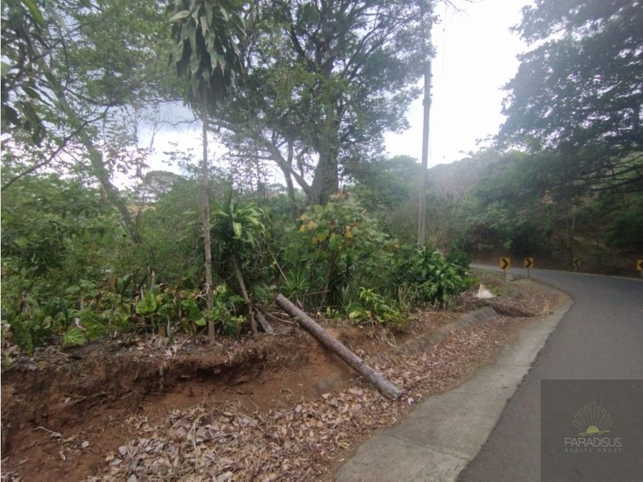Se Vende (Venta) Finca en Balsa de Atenas, Costa Rica Cod FU 1374 — photo 21 of 21